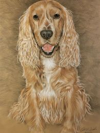 Családi kendvenc kutyus portréja - "SZÍNES" ceruzarajz